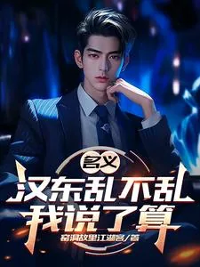 《名义：汉东乱不乱我说了算》小说封面