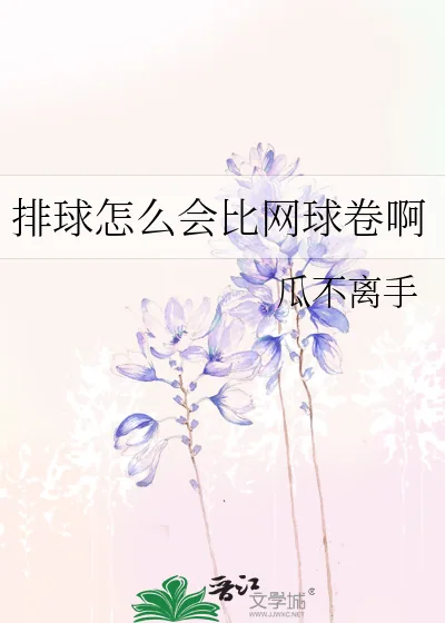 《排球怎么会比网球卷啊》小说封面