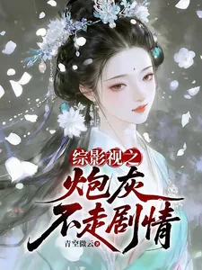 《综影视之炮灰不走剧情》小说封面