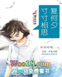 《寸寸相思复何夕》小说封面