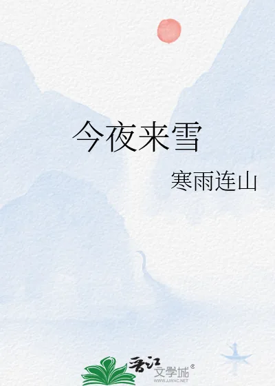 《今夜来雪》小说封面