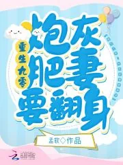 《重生九零:炮灰肥妻要翻身》小说封面