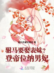 《驸马要娶表妹?登帝位,纳男妃!》小说封面