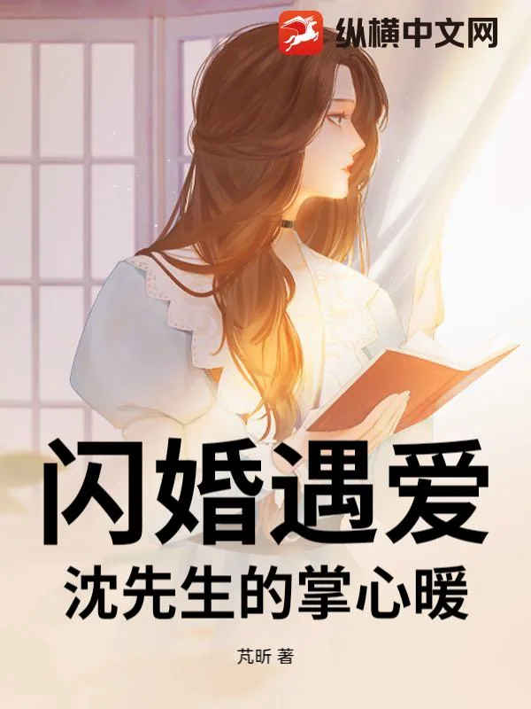 《闪婚遇爱:沈先生的掌心暖》小说封面