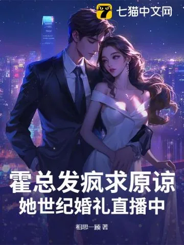 《霍总,太太不复婚,只改嫁!》小说封面