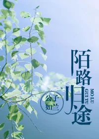 《陌路归途》小说封面