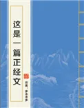 《这是一篇正经文》小说封面