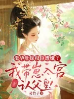 《挺孕肚嫁权臣遭嫌?我带崽入宫认父皇!》小说封面