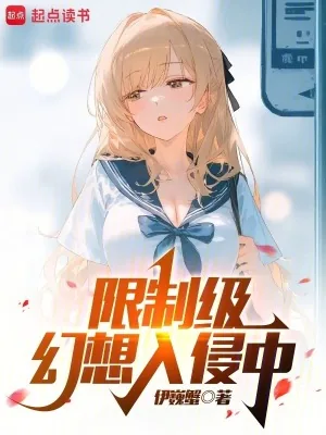 《限制级幻想入侵中》小说封面