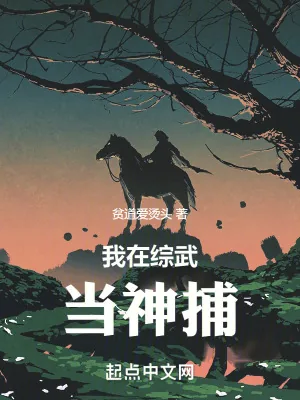 《我在综武当神捕》小说封面