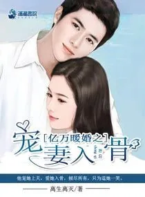 《亿万暖婚之爱妻入骨》小说封面