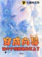《穿成向导,被六个顶级哨兵盯上了》小说封面