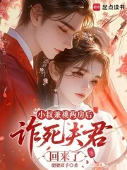 《小叔兼祧两房后,诈死夫君回来了》小说封面