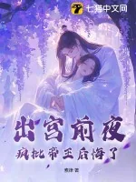 《出宫前夜，疯批帝王后悔了》小说封面