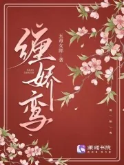 《缠娇鸾》小说封面