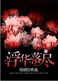 《浮华落尽》小说封面