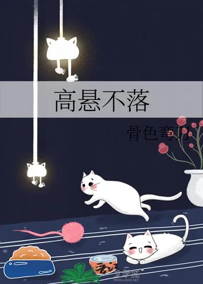 《高悬不落》小说封面