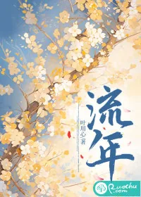 《流年》小说封面