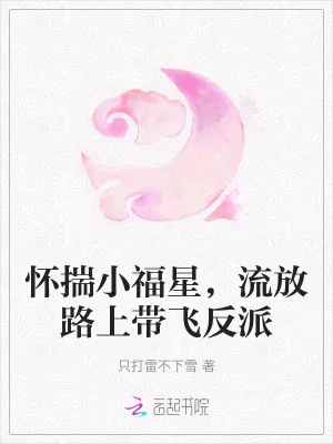 《怀揣小福星,流放路上带飞反派》小说封面