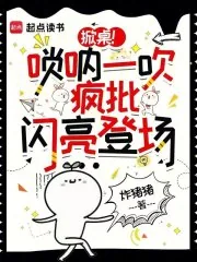 《掀桌!唢呐一吹,疯批闪亮登场》小说封面