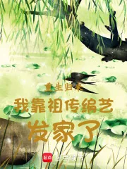 《重生归来我靠祖传编艺发家了》小说封面