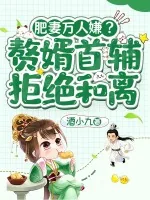 《肥妻万人嫌?赘婿首辅拒绝和离》小说封面