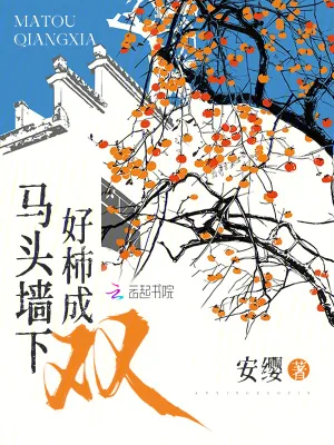 《马头墙下好柿成双》小说封面