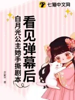 《看见弹幕后,白月光公主她手撕剧本!》小说封面