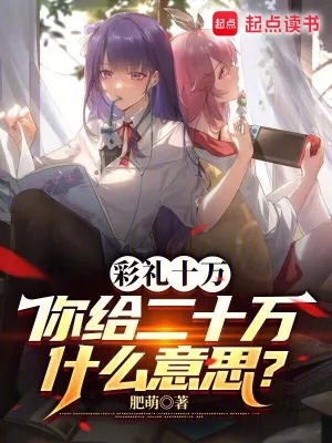 《彩礼十万，你给二十万什么意思？》小说封面