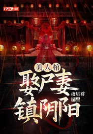 《美人棺，娶尸妻，镇阴阳》小说封面