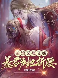 《娘娘又疯又娇,暴君为她折腰》小说封面