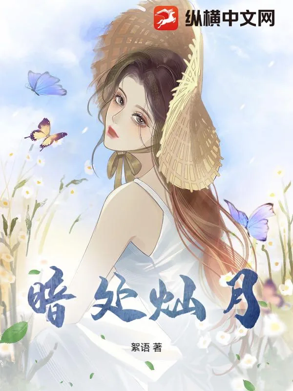 《暗处灿月》小说封面