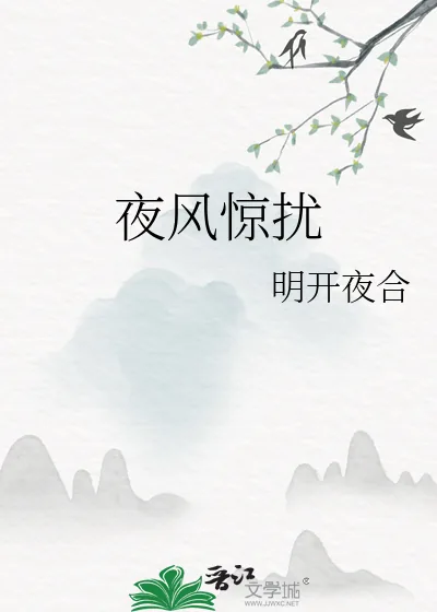 《夜风惊扰》小说封面