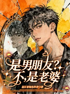《是男朋友?不,是老婆》小说封面