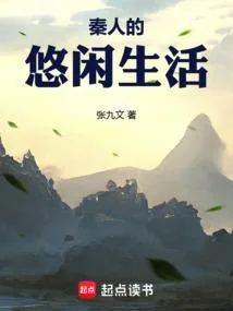 《大秦攻略》小说封面
