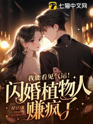 《我能看见气运!闪婚植物人赚疯了》小说封面