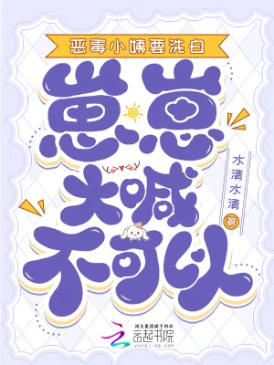 《恶毒小姨要洗白,崽崽大喊不可以》小说封面