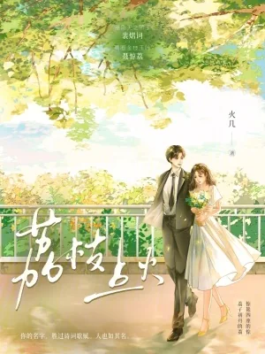 《荔枝点火》小说封面