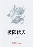 《极限伏天》小说封面