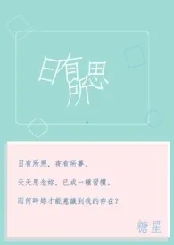 《日有所思》小说封面