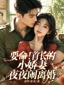 《要命!首长的小娇妻夜夜闹离婚》小说封面
