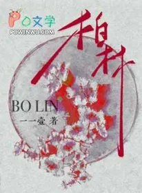 《柏林》小说封面