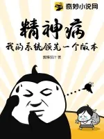 《精神病:我的系统领先一个版本》小说封面