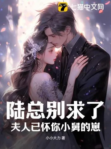 《陆总别求了,夫人已被宠上天》小说封面