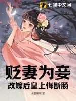 《贬妻为妾，改嫁后皇上悔断肠》小说封面