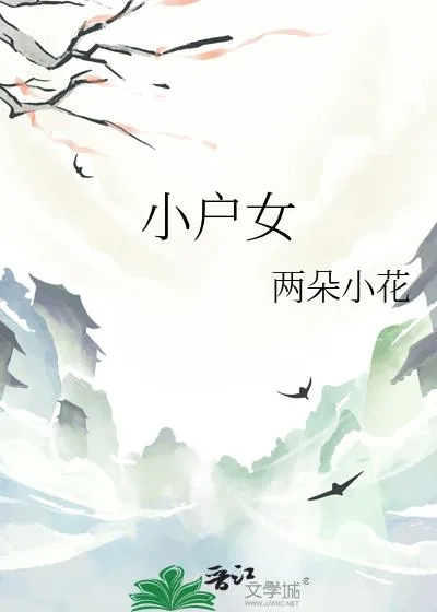 《小户女》小说封面