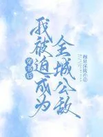 《穿书后我被迫成为全城公敌》小说封面