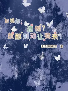 《影视综：遗憾？放那别动让我来！》小说封面