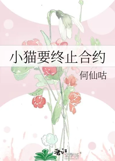 《小猫要终止合约》小说封面
