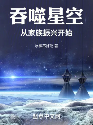 《吞噬星空：从家族振兴开始》小说封面